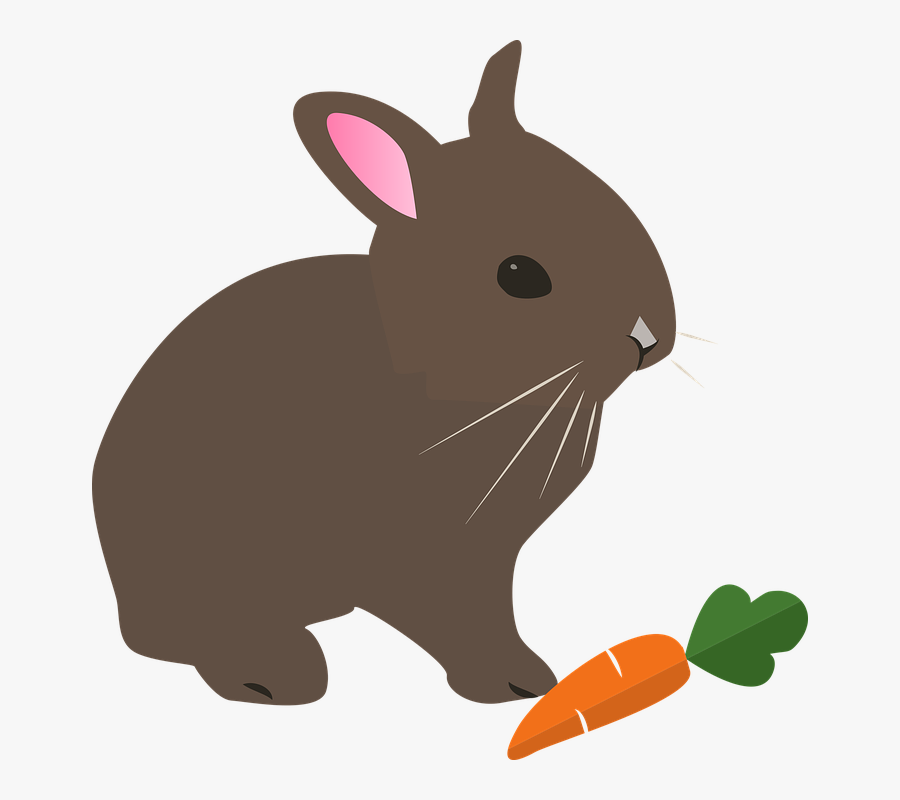 Hare, Rabbit, Easter, Animal, Pet, Nature, Spring - Rabbit Cartoon Pet, Transparent Clipart