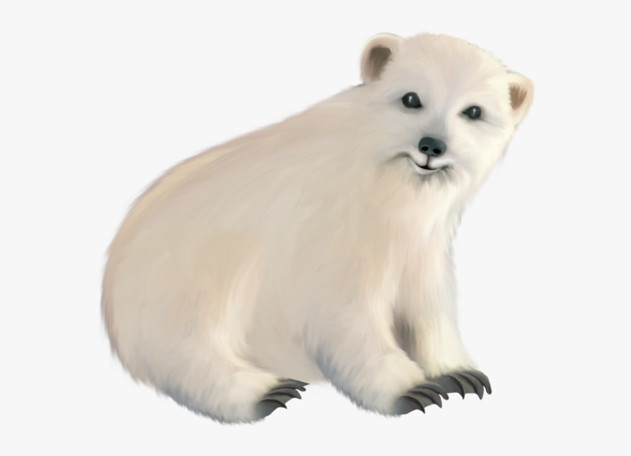 Polar White Bear Png - Polar Bear, Transparent Clipart