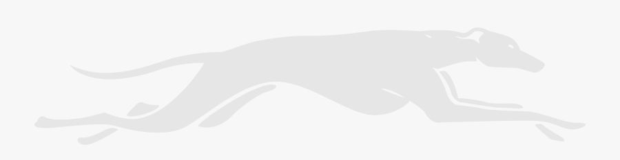 Shs Whippet - Illustration, Transparent Clipart