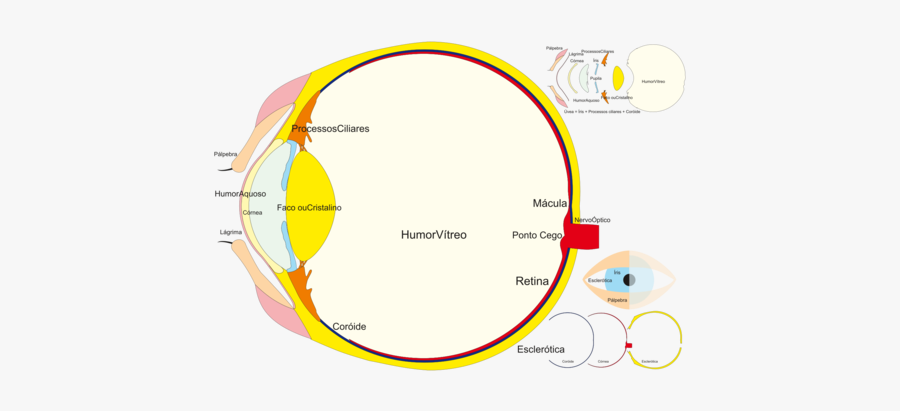 Angle,area,text - Circle, Transparent Clipart