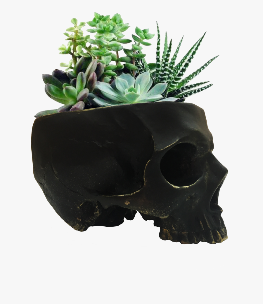 Clip Art Skull Bowls - Bag, Transparent Clipart