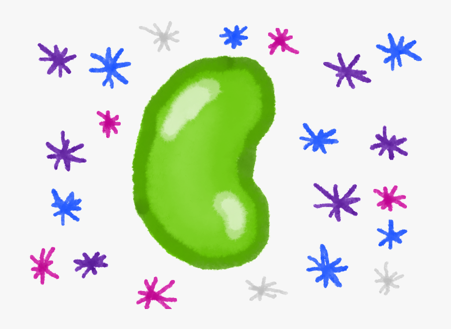 Clip Art, Transparent Clipart