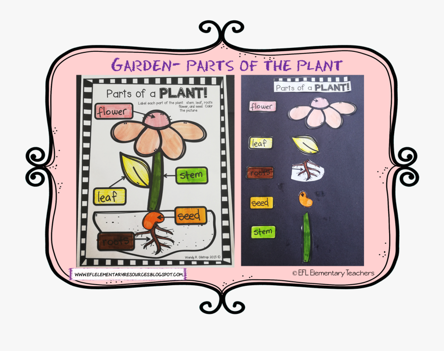 Transparent Good Listening Clipart - Wendy R Gilstrap Parts Of A Plant, Transparent Clipart