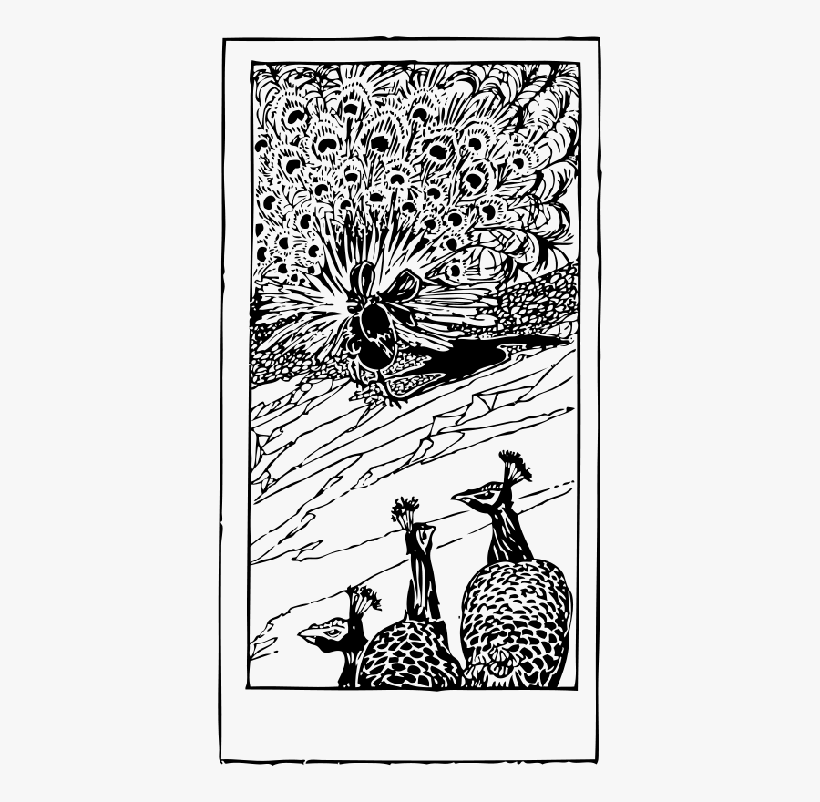 Peacocks And Daw - Aesop's Fables Charles Robinson, Transparent Clipart