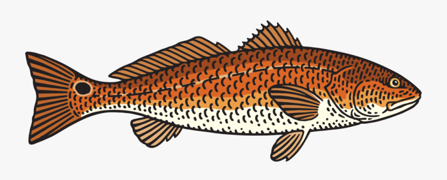 Fish That You Eat Clip Art, Transparent Clipart