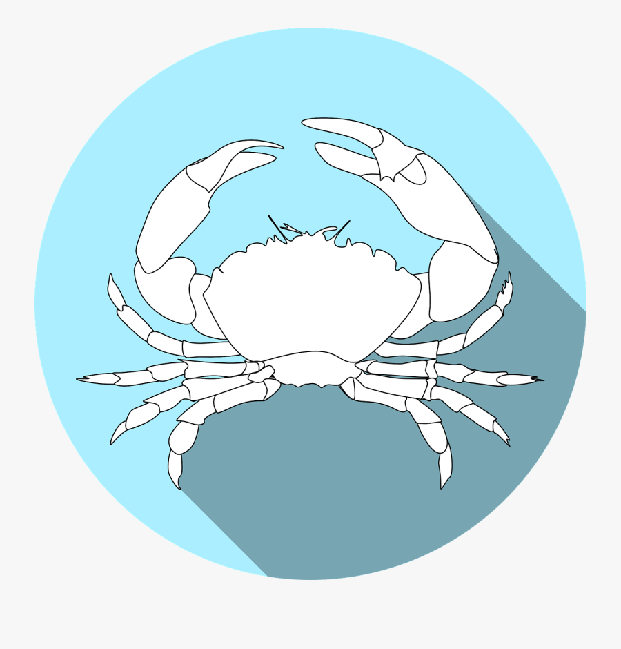 Transparent Crayfish Png - Crabs, Transparent Clipart
