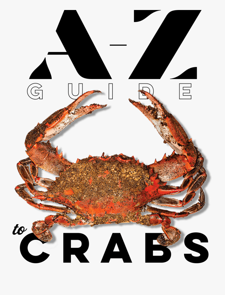 Freshwater Crab, Transparent Clipart