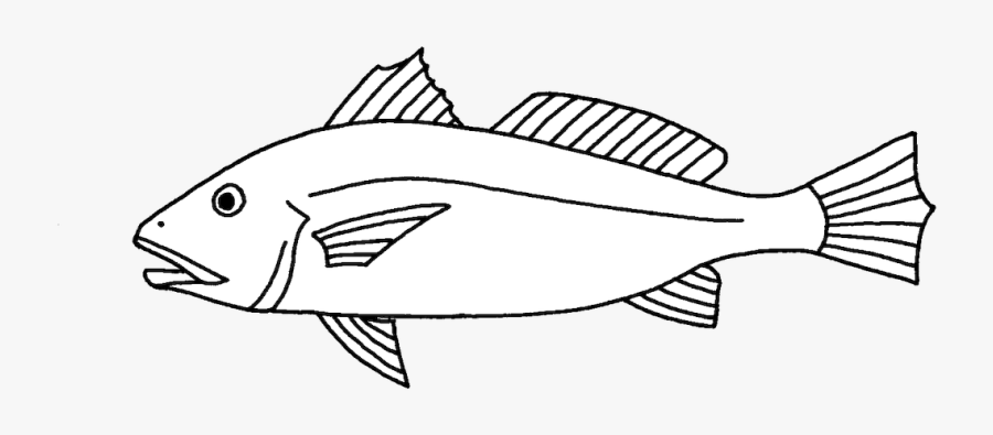 Picture - Ray-finned Fish, Transparent Clipart