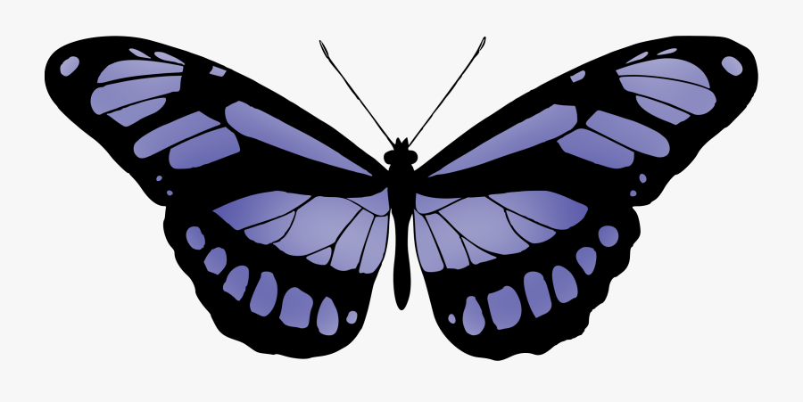 This Free Icons Png Design Of Butterfly - Black Transparent Butterfly Meaning, Transparent Clipart