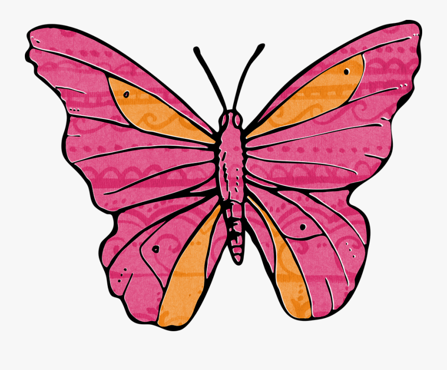 Orange And Pink Butterflies Clipart , Png Download - Model Gambar Kupu Kupu, Transparent Clipart