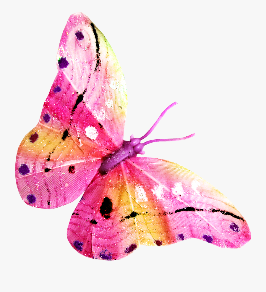 Rainbow Butterfly Clipart Papillon - Butterfly, Transparent Clipart