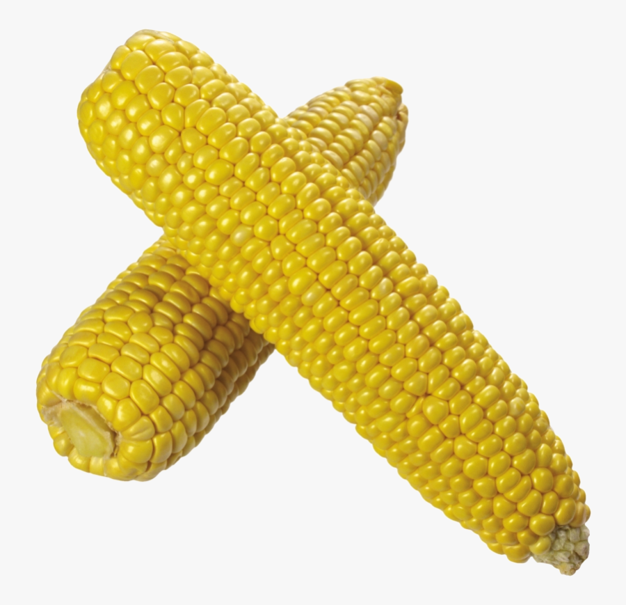 Corn Image Transparent Background Clipart Png - Corn Png, Transparent Clipart