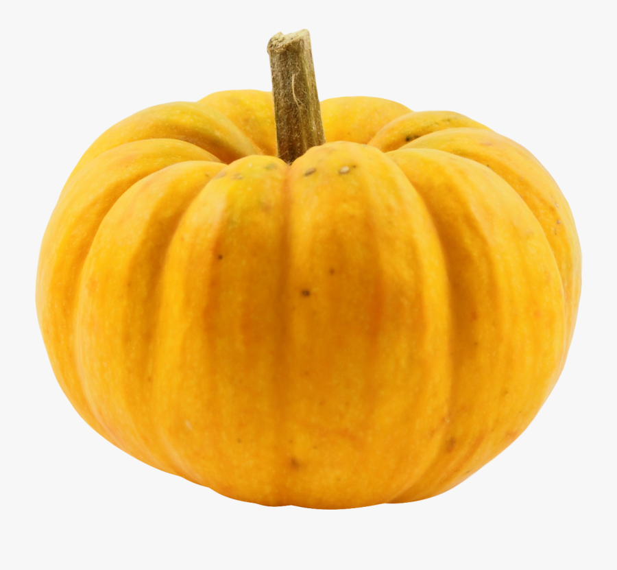 Transparent Acorn Squash Clipart - Pumpkin, Transparent Clipart