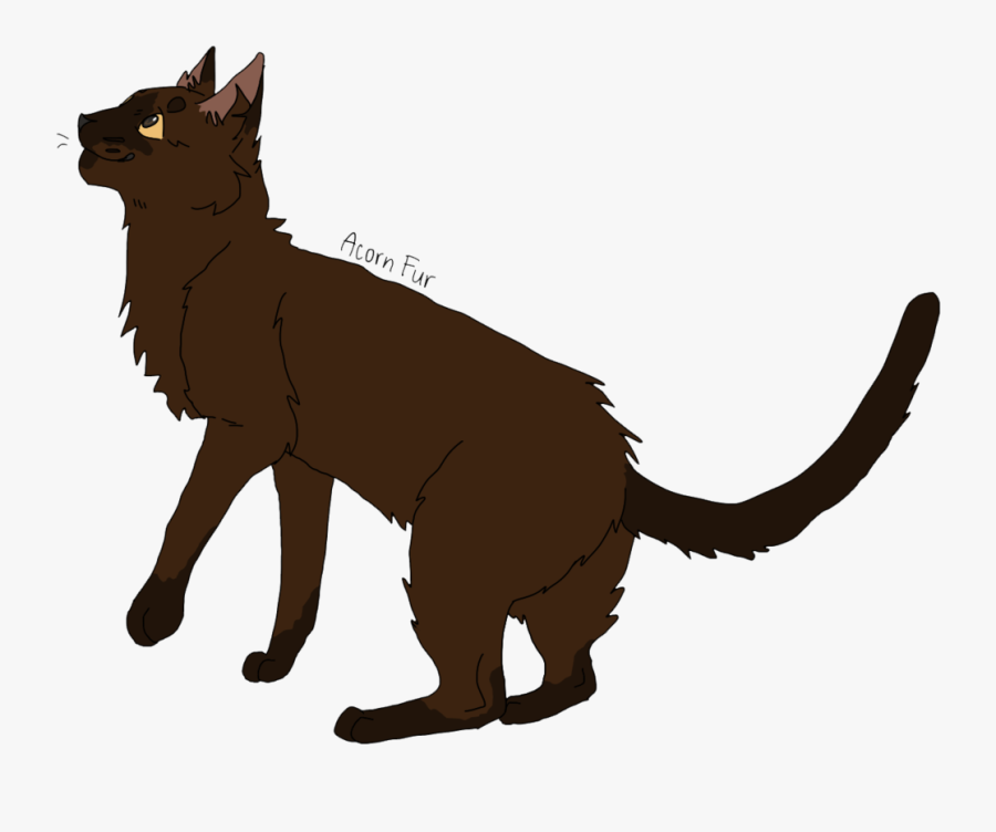 Acorn Fur By Glasskats - Acorn Fur Warrior Cats, Transparent Clipart