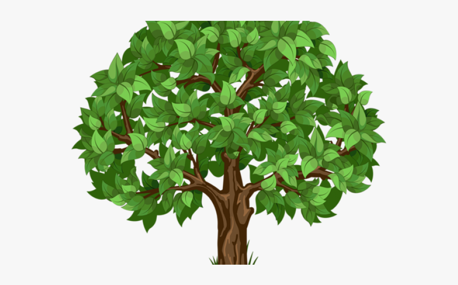 Lawn Care Tree Logos, Transparent Clipart