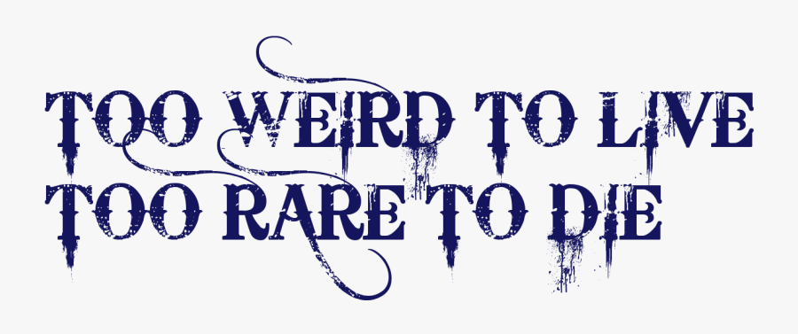 Western Font Generator, Transparent Clipart