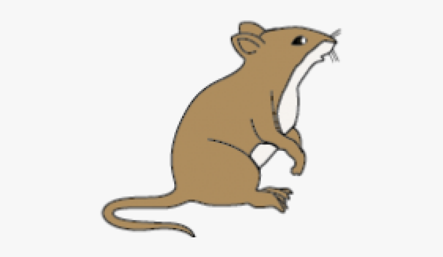 Rat, Transparent Clipart