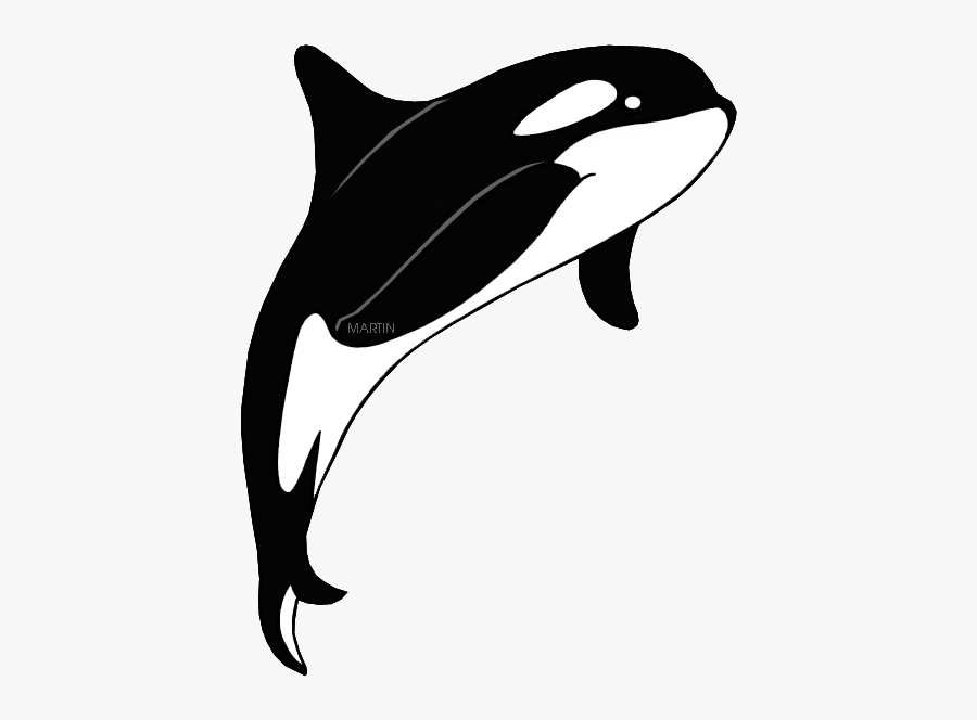 State Marine Mammal - Killer Whale Clipart Black And White, Transparent Clipart