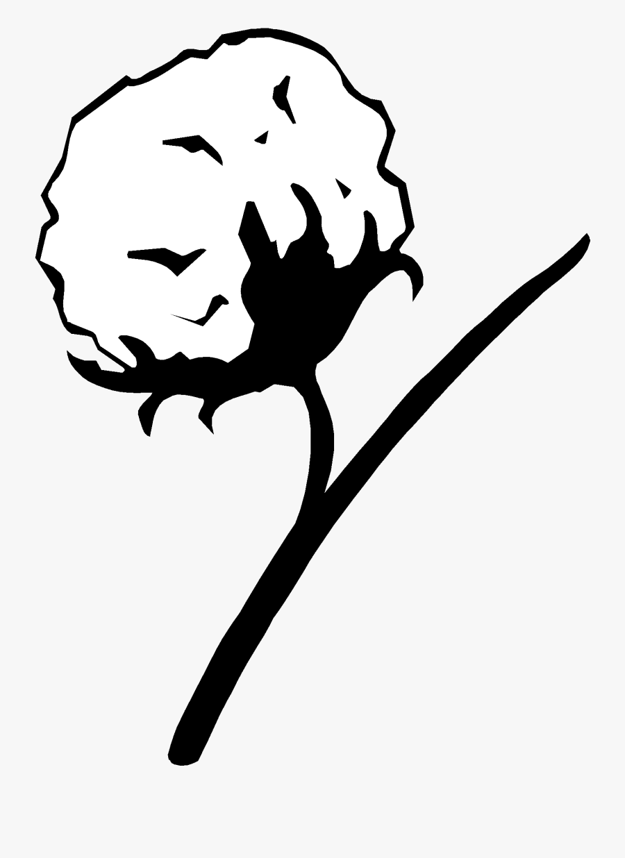 Cotton Image Drawing Png, Transparent Clipart