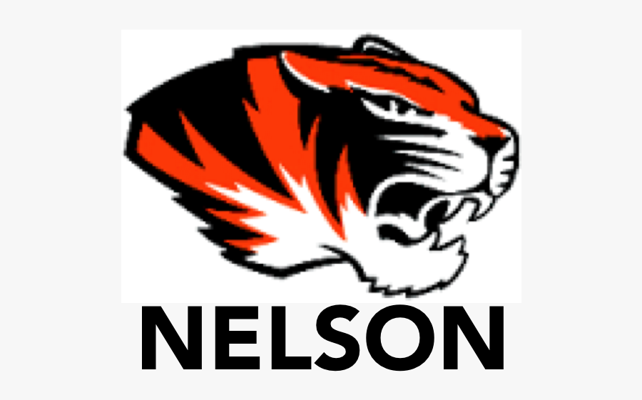 Missouri Tigers Logo Vector, Transparent Clipart