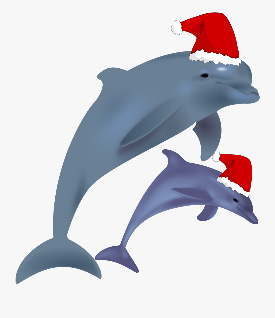 Common Bottlenose Dolphin Jumping Clip Art Christmas - Dolphin With Christmas Hat, Transparent Clipart