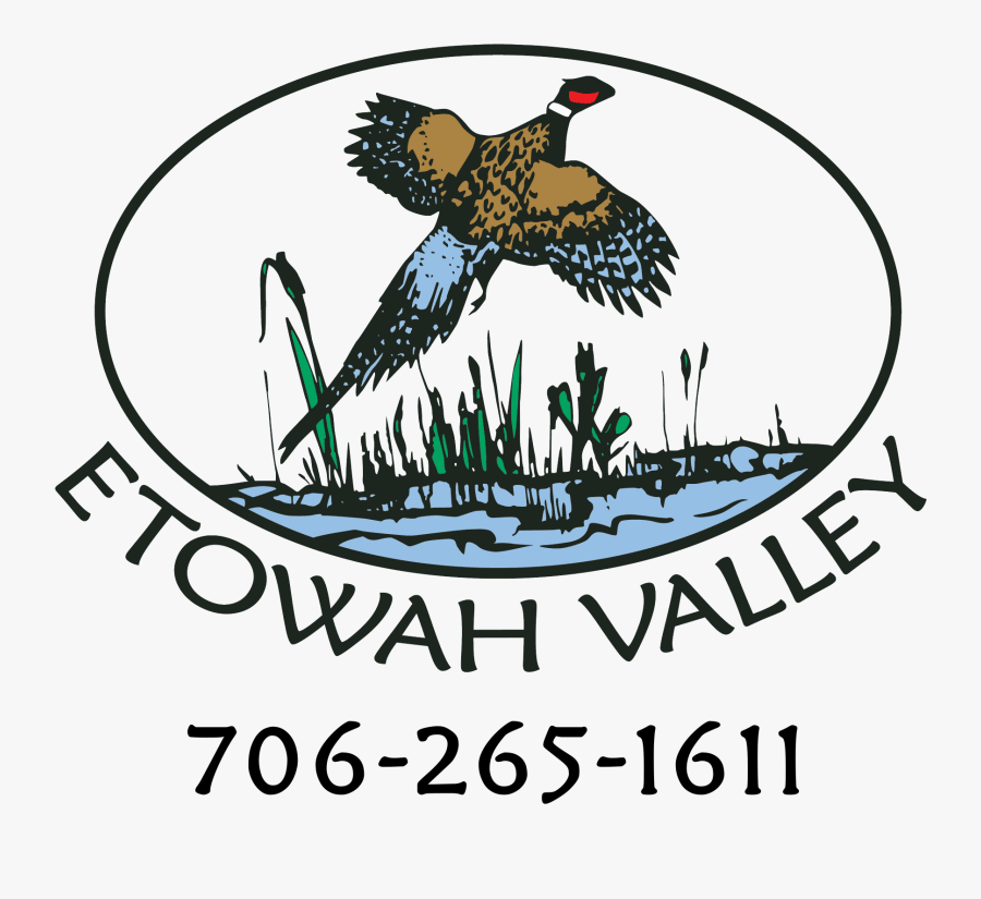 Atlanta Ga Skeet Shooting, Trap Course - Etowah Valley Sporting Clays, Transparent Clipart