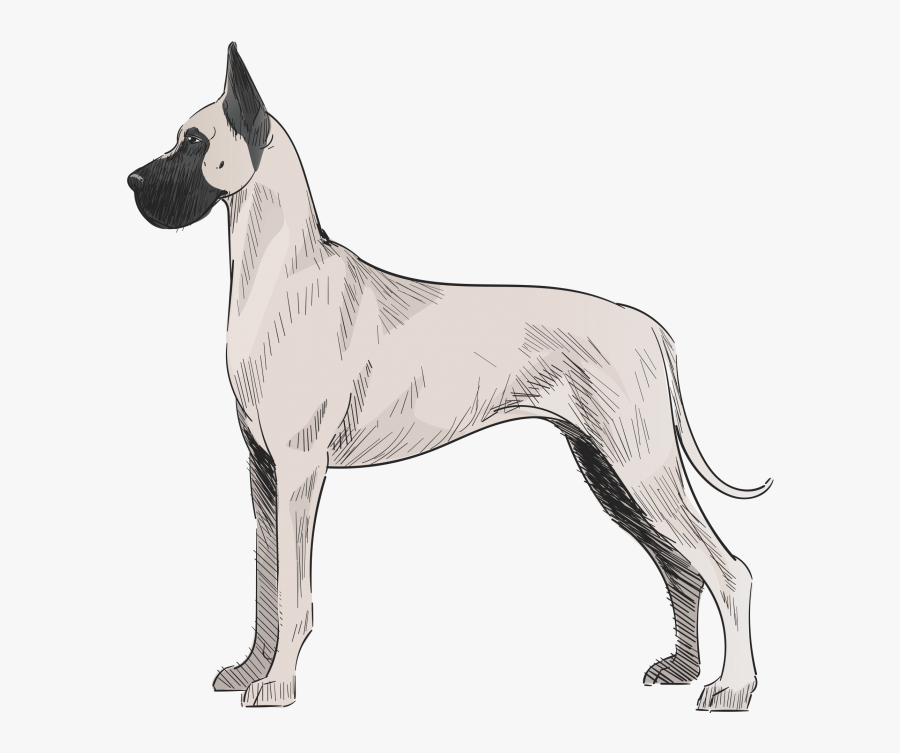 Great Dane, Transparent Clipart