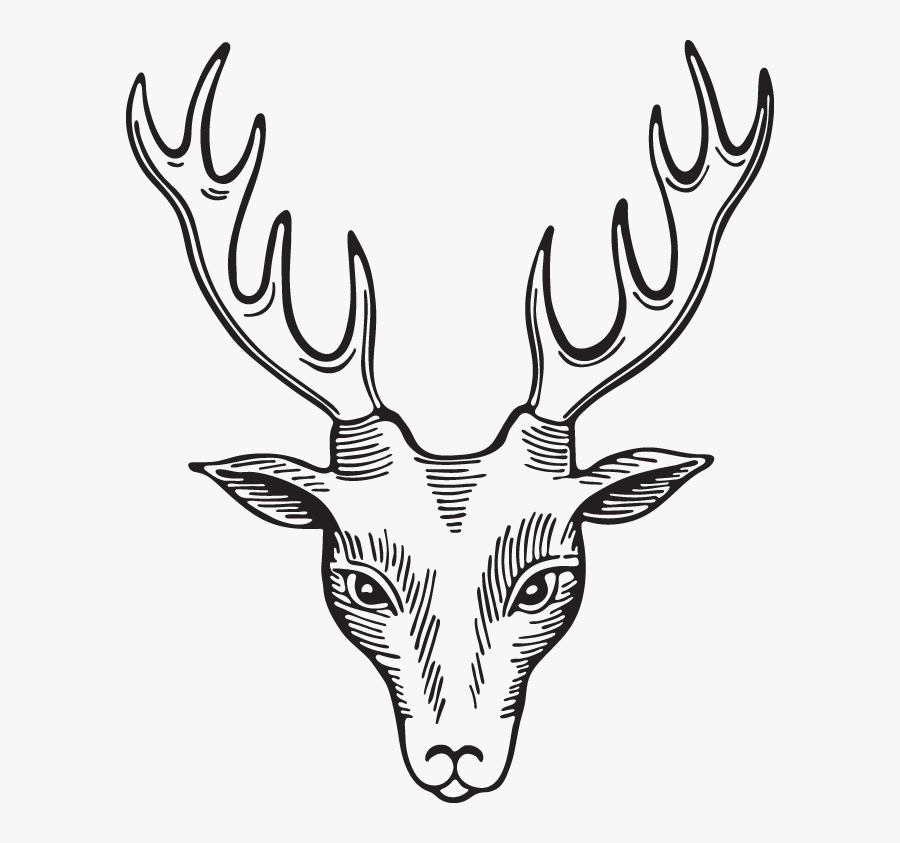 Reindeer, Transparent Clipart