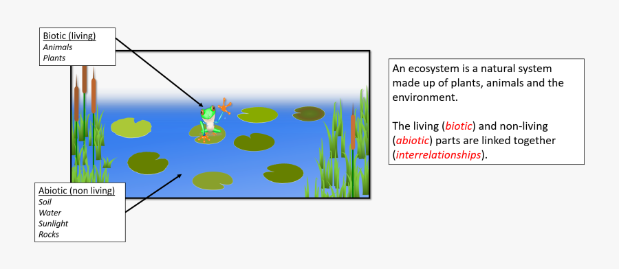 Transparent Abiotic Clipart - Pull Fish Out Of Water, Transparent Clipart
