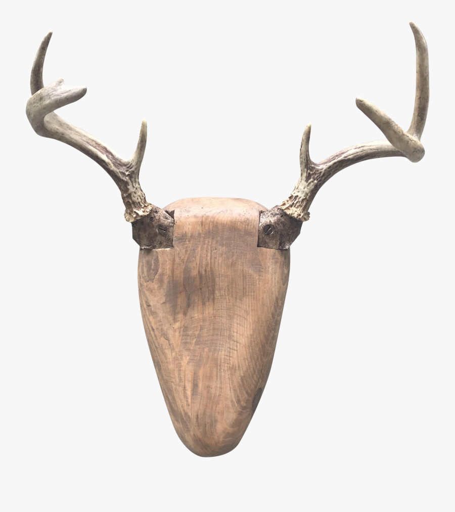 Clip Art Deer Head Trophy - Reindeer, Transparent Clipart