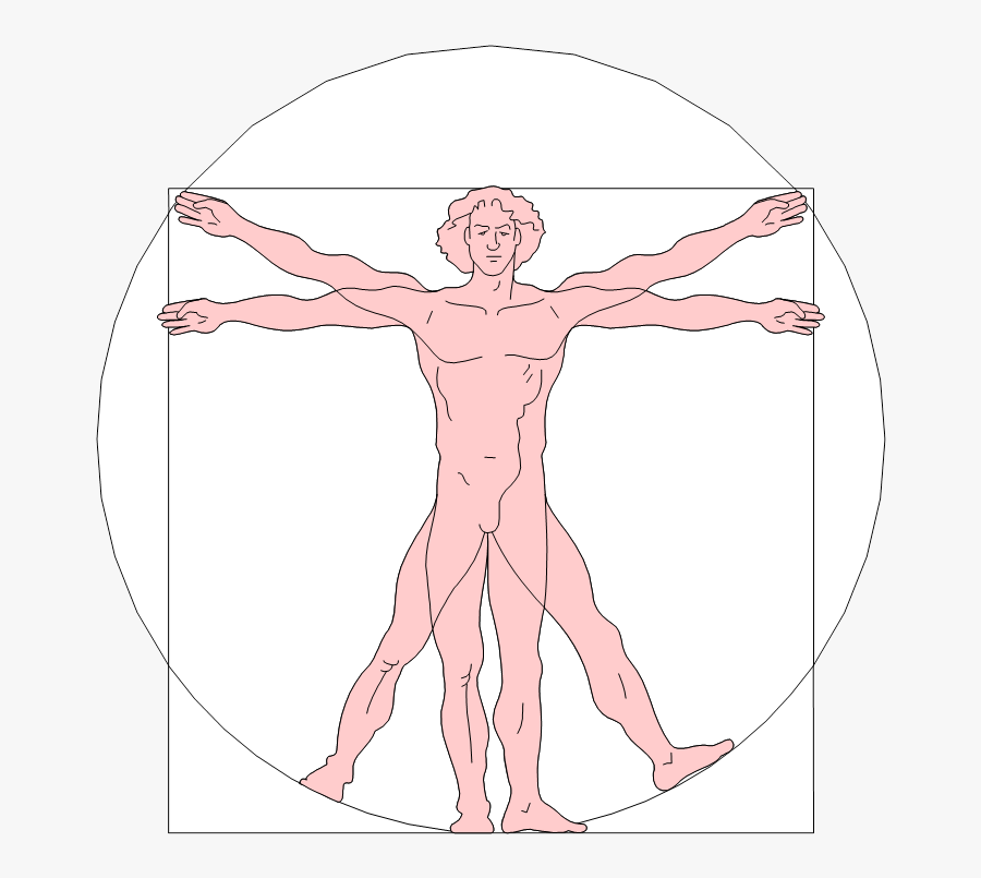 Renaissance Clipart Vitruvian Man - Renaissance Art Leonardo Da Vinci Vitruvian, Transparent Clipart