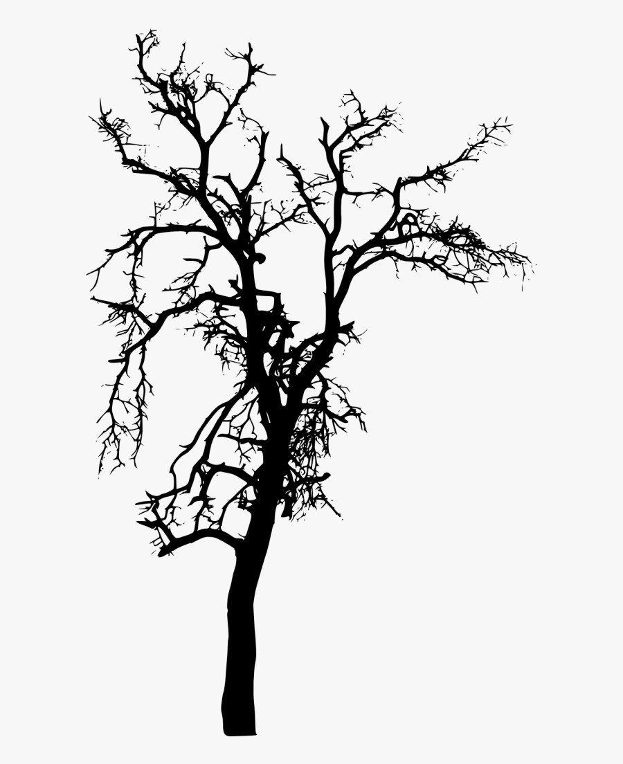 Silhouette Of Trees Png, Transparent Clipart
