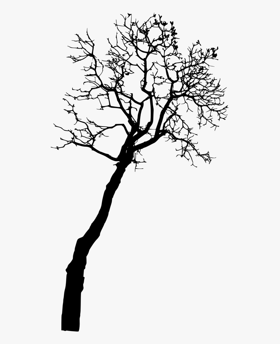 Transparent Bare Trees Clipart - Black And White Flower Tree Photography, Transparent Clipart