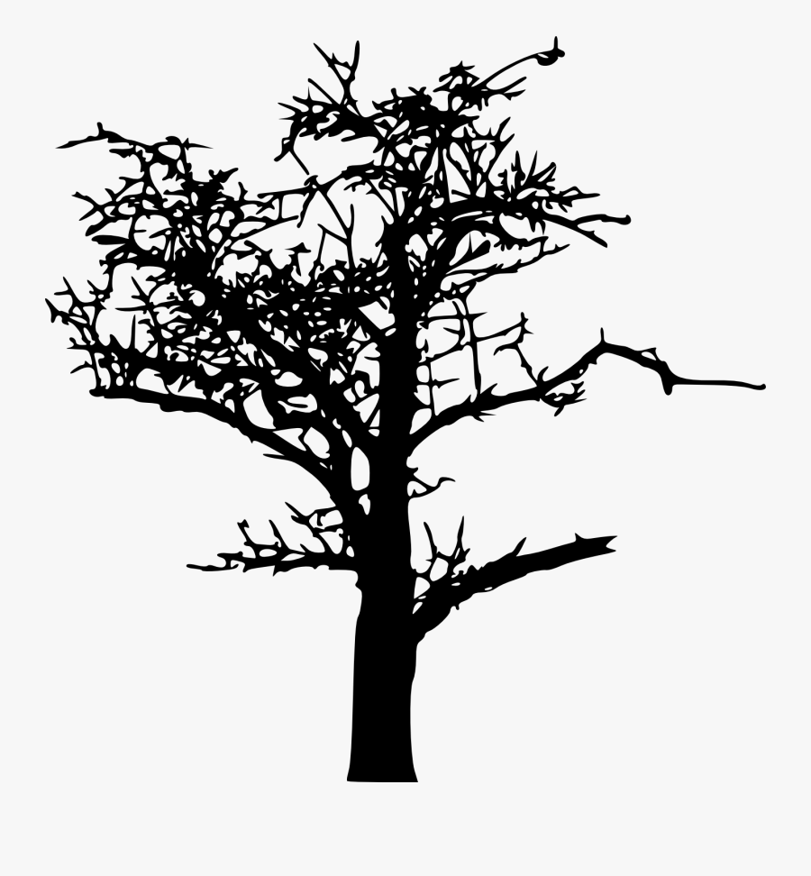 18 Bare Tree Silhouette Vol - Silhouette, Transparent Clipart