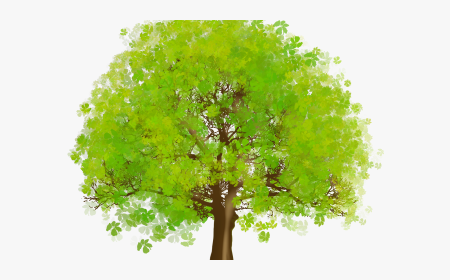 Transparent Bare Trees Clipart - Clipart Tree, Transparent Clipart