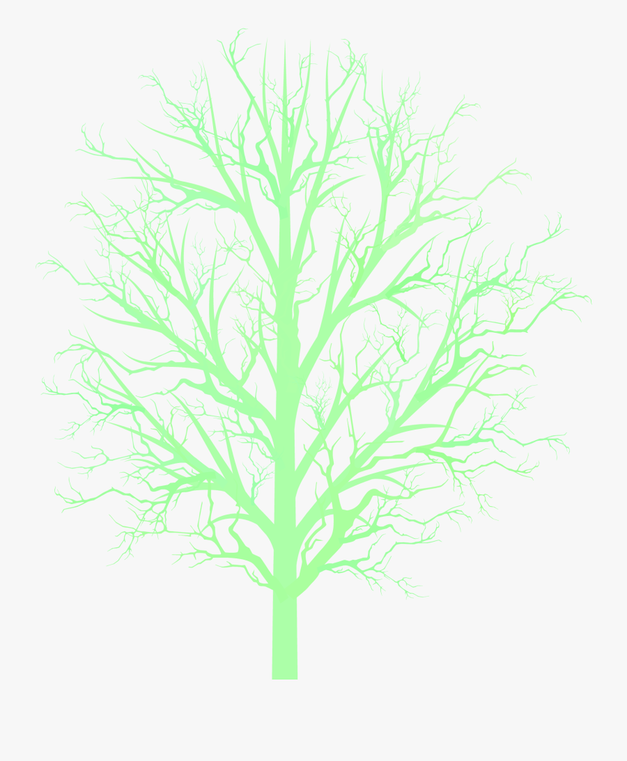 Bare Tree Png Bare Tree Branc - Darkness, Transparent Clipart