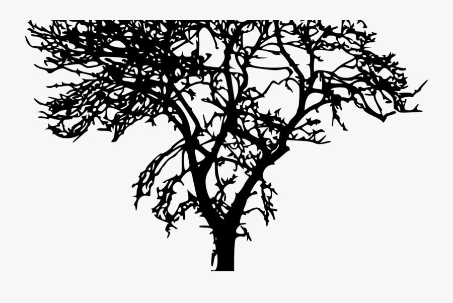 18 Bare Tree Silhouette Vol 2 Onlygfxcom - Transparent Jungle Tree Silhouette, Transparent Clipart