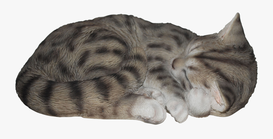 Transparent Sleeping Cat Png - Sleeping Gray Cat Png, Transparent Clipart