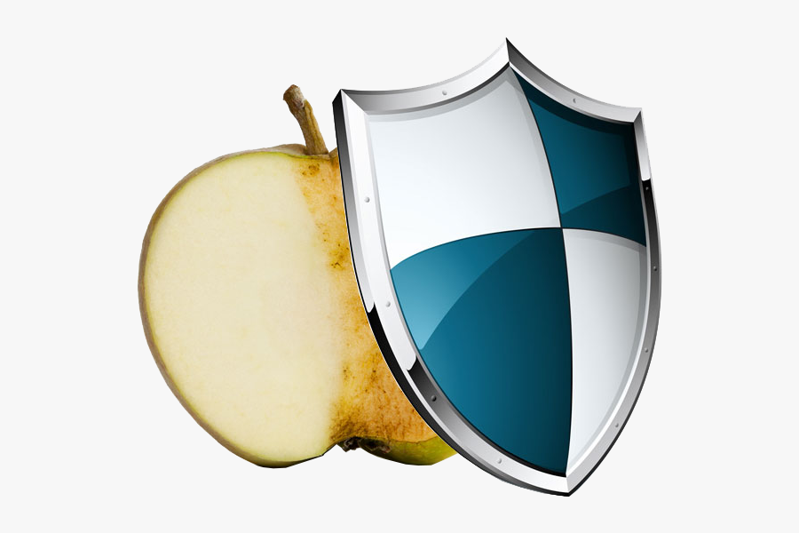 Antioxidants Act Like Bodyguards Who Dive In Front - Medieval Shield, Transparent Clipart