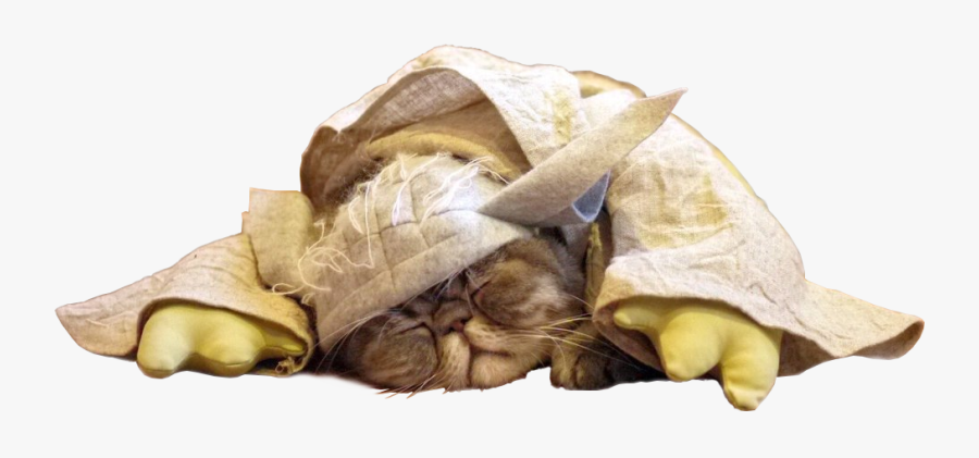Sleeping Cat Png - Portable Network Graphics, Transparent Clipart