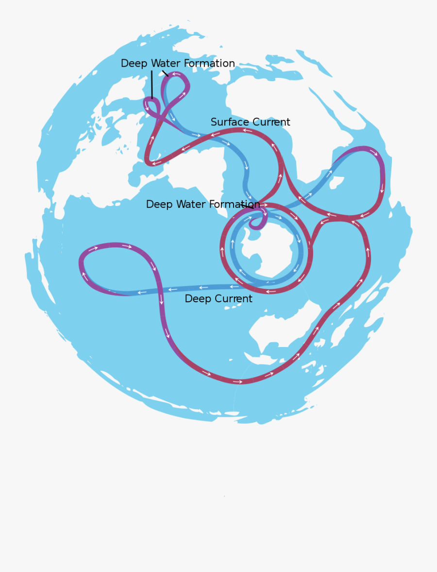 Halting The Ocean Conveyor Belt Theory - Thermohaline Circulation, Transparent Clipart