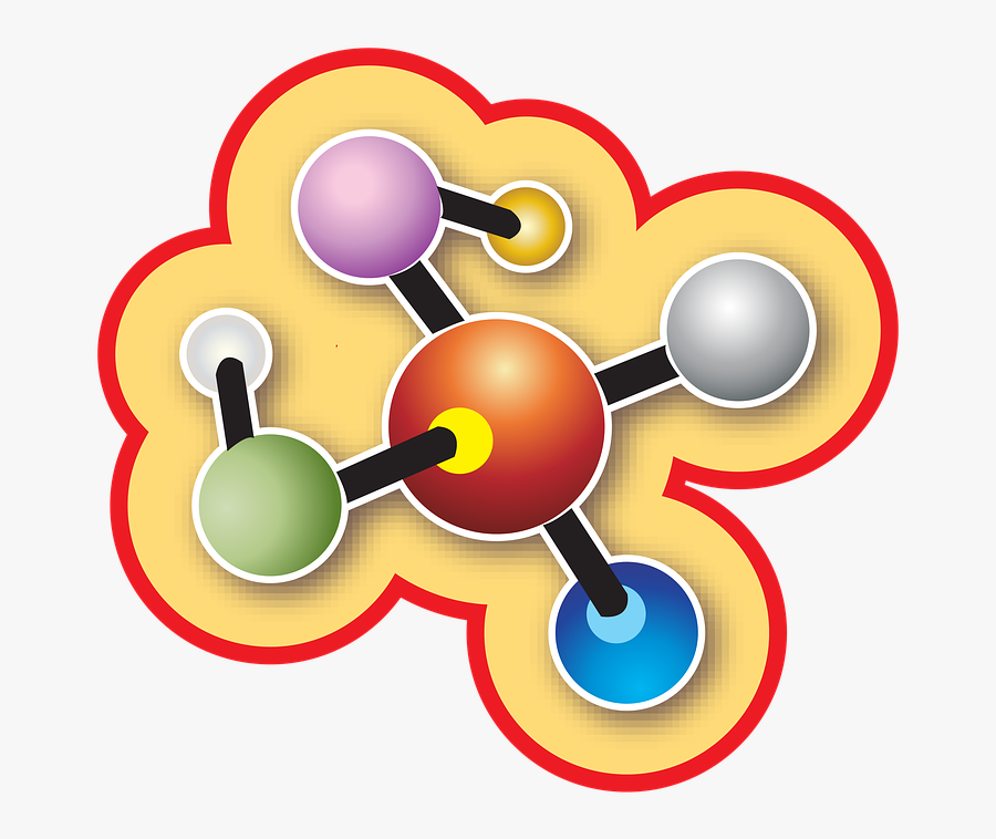 Biology, Transparent Clipart