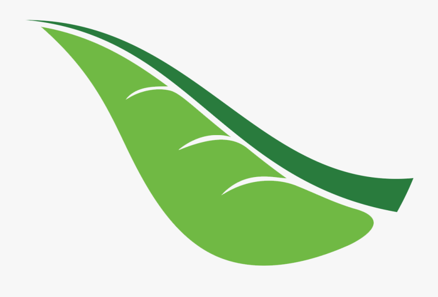 Camping Clipart Outbound Training, Transparent Clipart