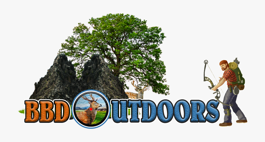 Outdoors Clipart Camping Item - Tree On White Background, Transparent Clipart