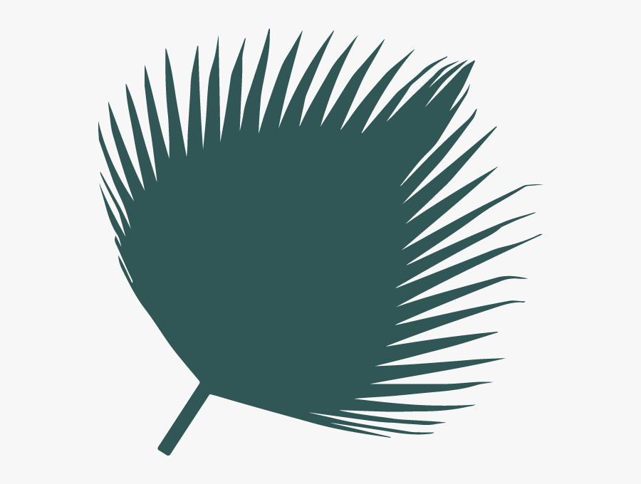 Soul Surfin Youth Christian, Transparent Clipart