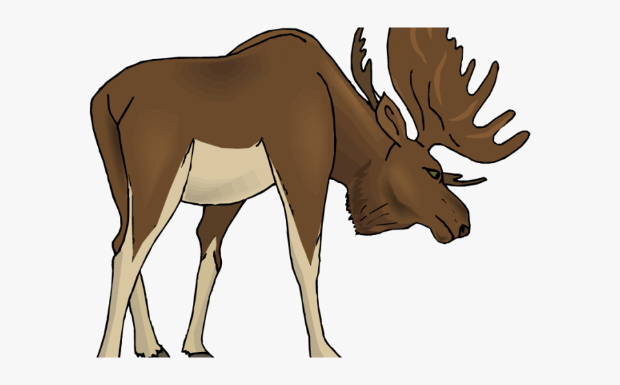 Beware Of Moose Sign, Transparent Clipart