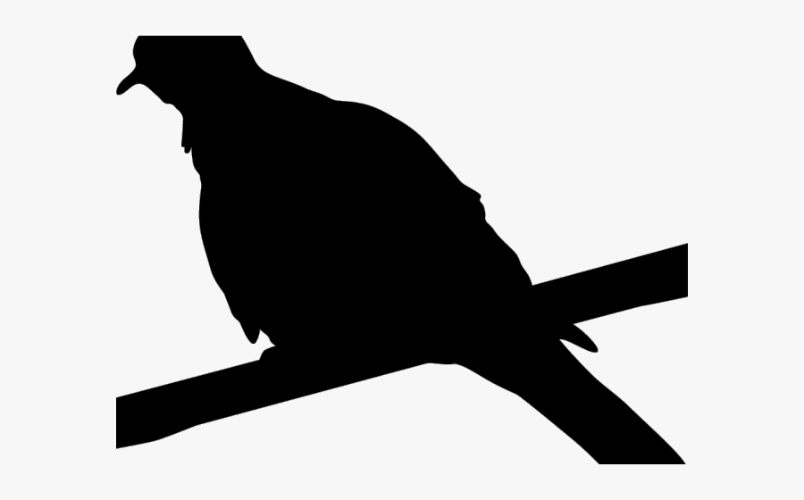 Phasianidae, Transparent Clipart