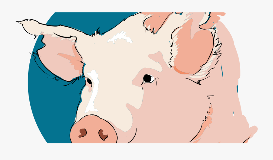 Transparent Stuart Little Clipart - Tete De Porc Dessin, Transparent Clipart