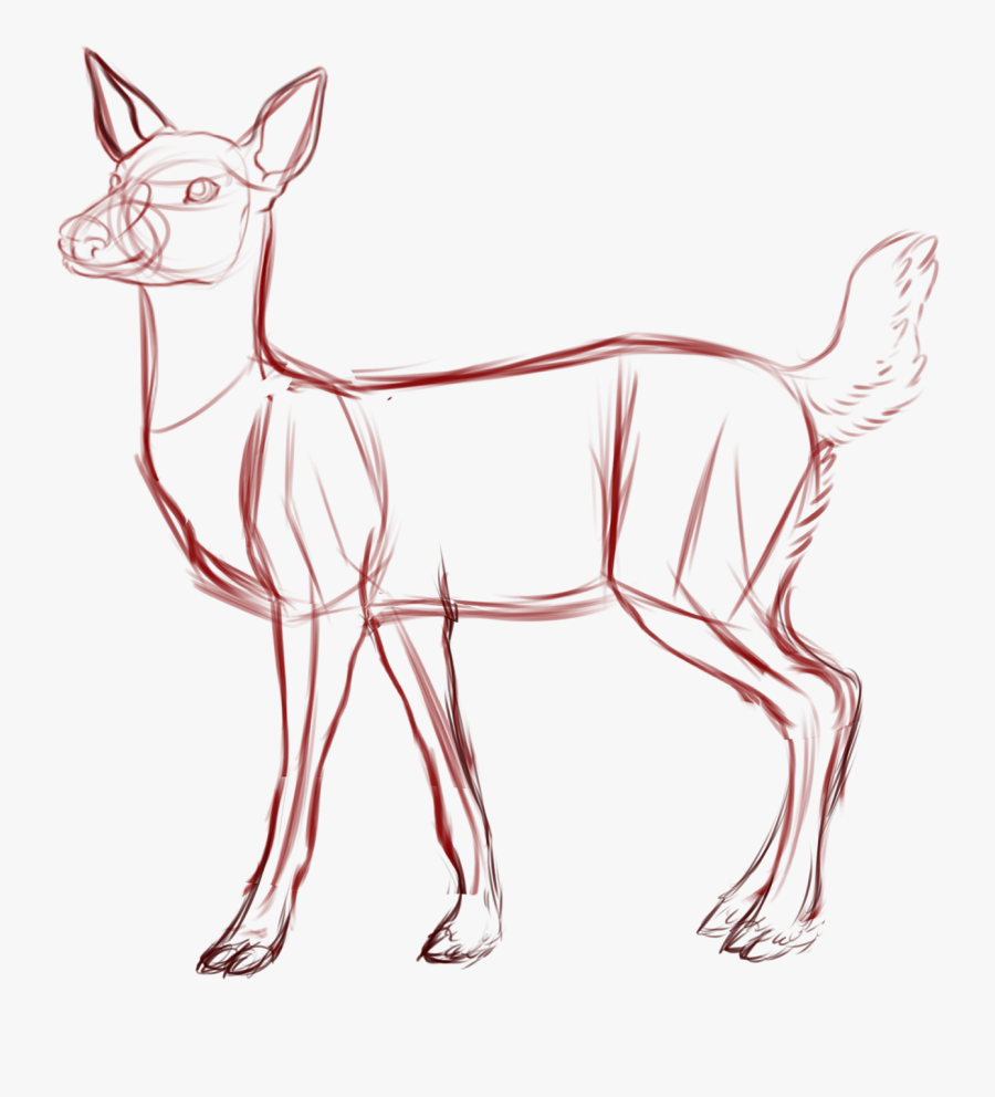 Buck Clipart Pig Hoof - Deer Drawing Sketch, Transparent Clipart