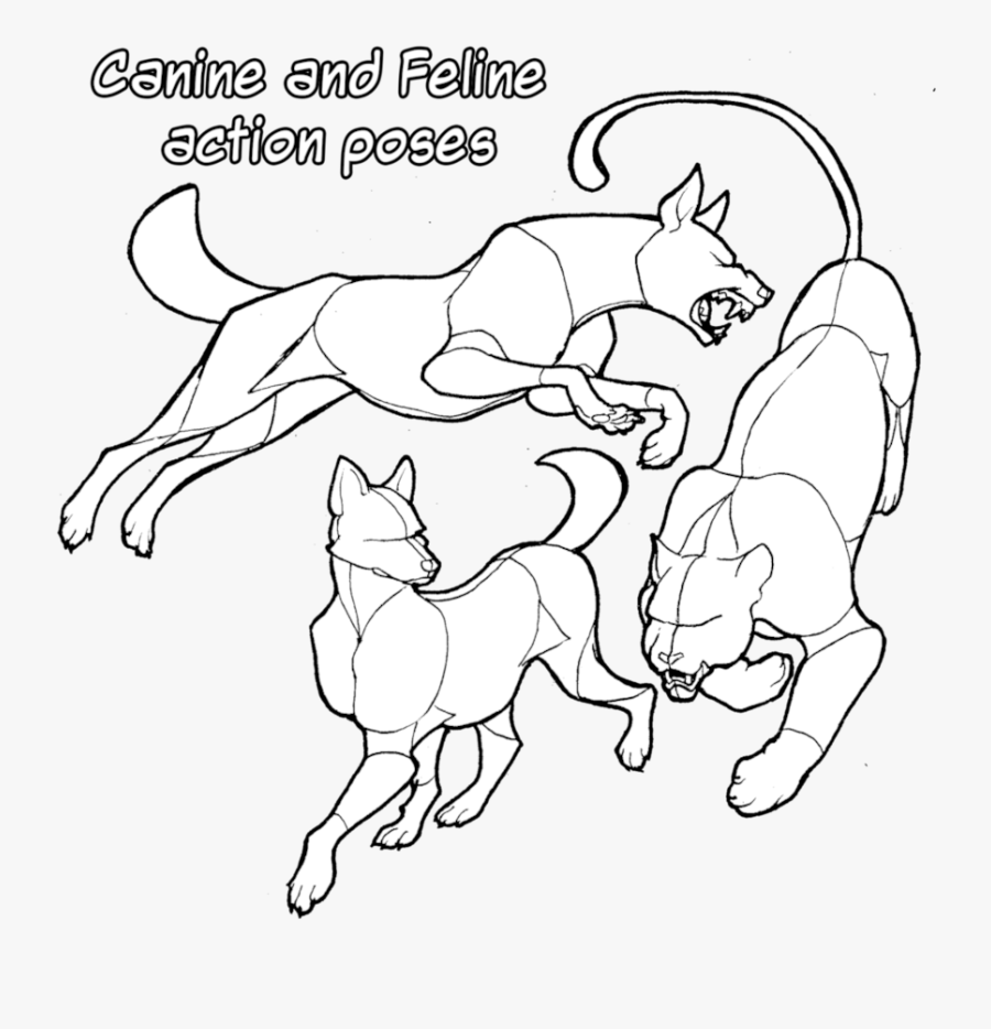 Clip Art Reference Canine And Feline, Transparent Clipart